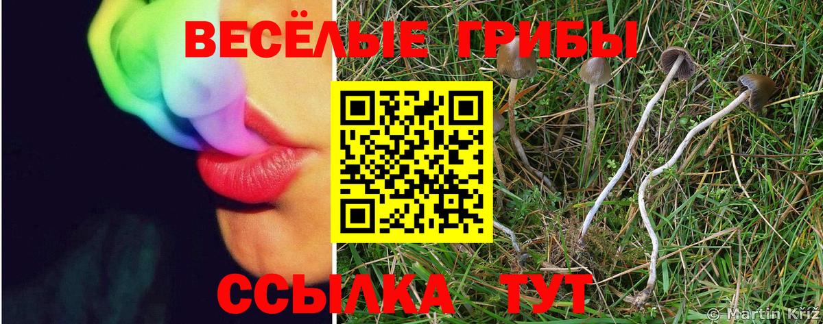 Псилоцибиновые грибы мухоморы Татарск